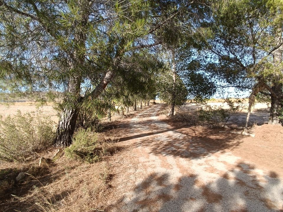 Landejendom i Yecla, Murcia - foto 5